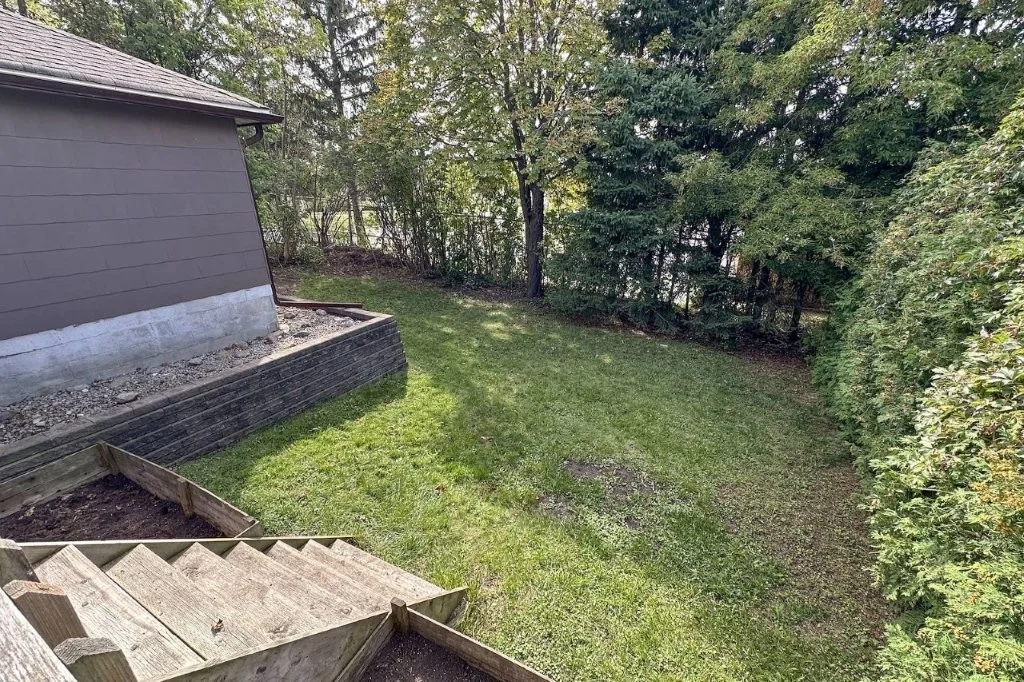 Mature trees in the rear yard